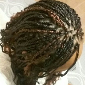 laetinda laetinda