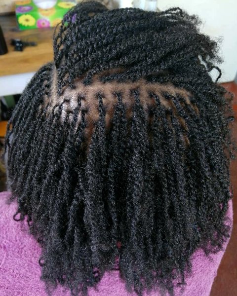 Braids and locks by Nefertiti