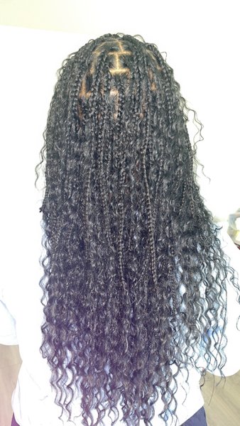Braids and locks by Nefertiti
