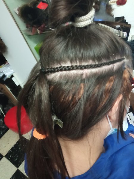 Netti