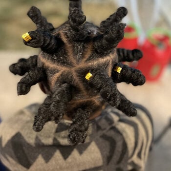 Bantu knots sur cheveux crépus courts
