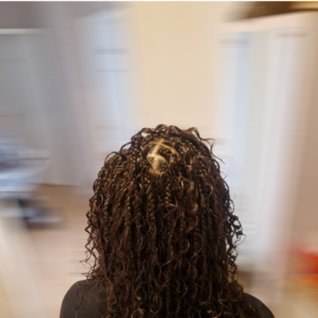 boho braids court