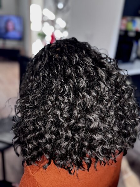 Boho braids courts