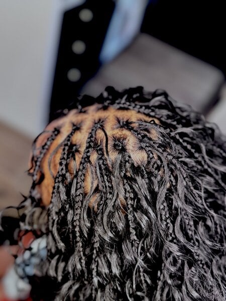 Carr Braids Court