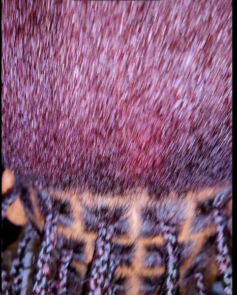 Boho tresse