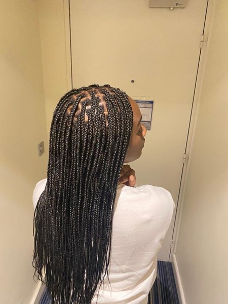 👩🏾 Box braid (Rasta) (Jo.Kivena) - Coiffure Afro