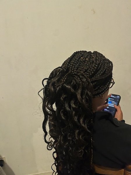box braids