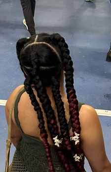 Box braids 