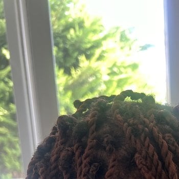 Braid, tissage, perruque, tresses 
