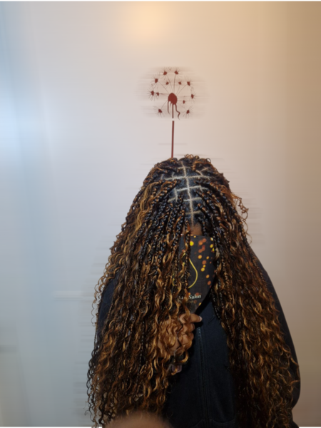 Braids bohémien (boho braids) long