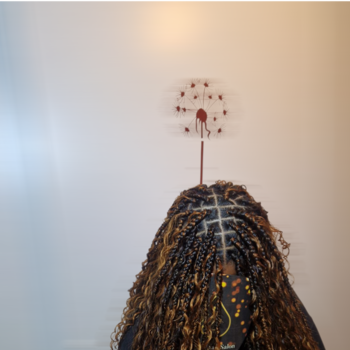 Braids bohémien (boho braids) long
