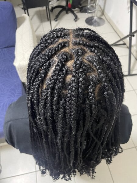 Braids simples
