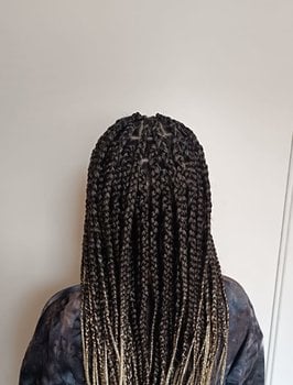 Braids 