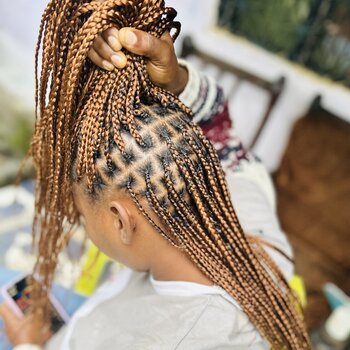 Braids 
