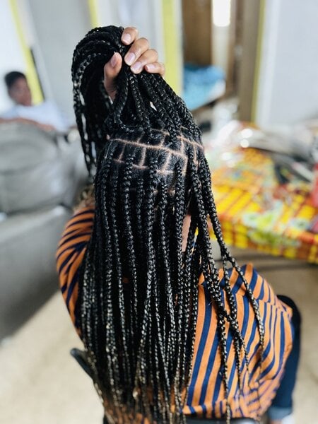 Braids 