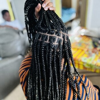 Braids 