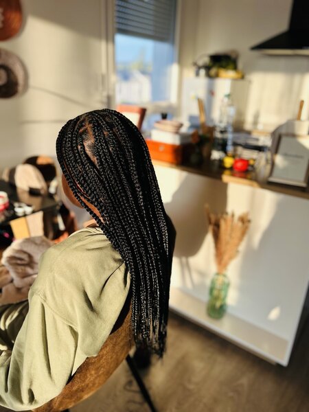 Braids 