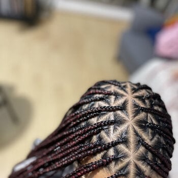 Braids