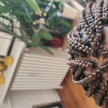 Braids