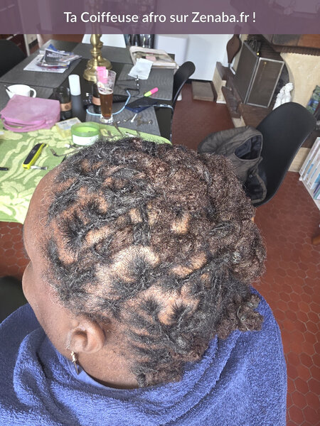 Chignon locks