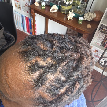 Chignon locks