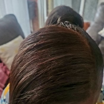 Chignon 