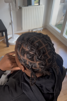 Départ de locks au crochet (méthode broderie naturelle et durable)