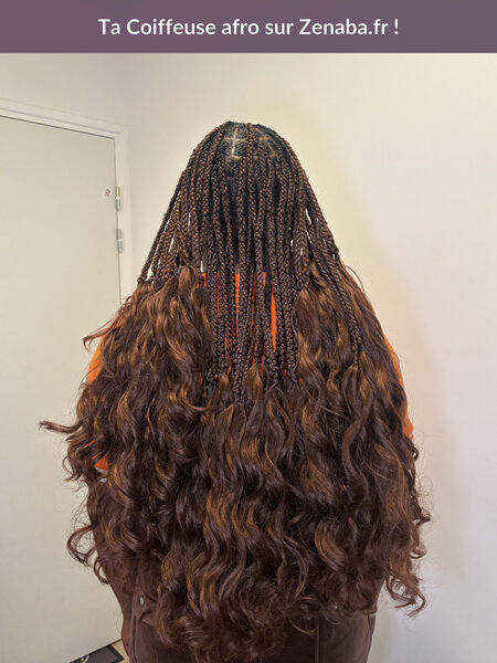 French Curls