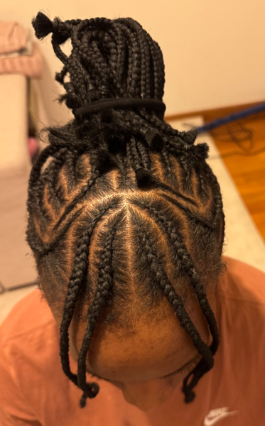 Fulani braids/Nattes collées
