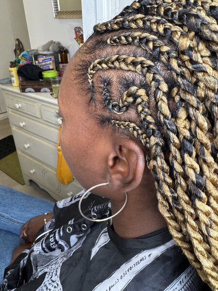 Fulani twists 