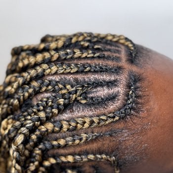 Fulani twists 