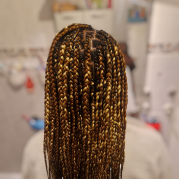 Knowless braids