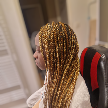 Knowless braids