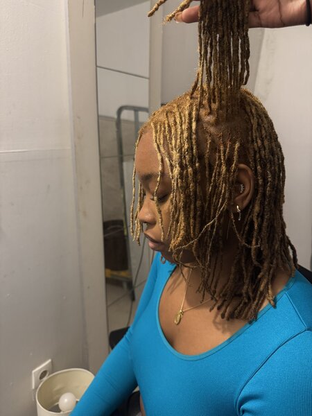 Microlocks 