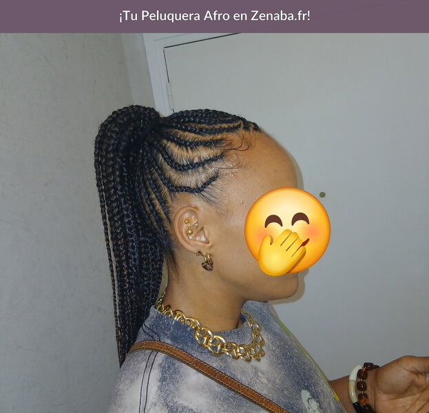Nattes collées updo Braids