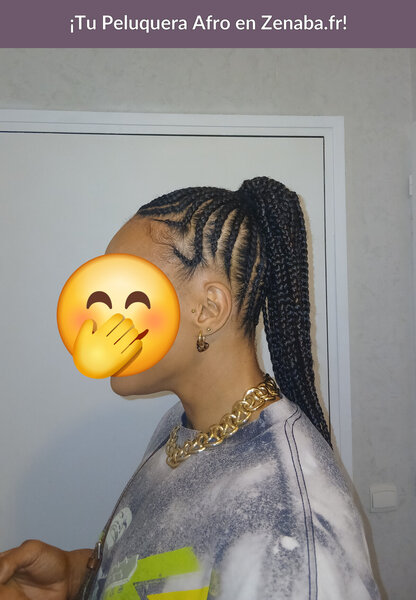 Nattes collées updo Braids