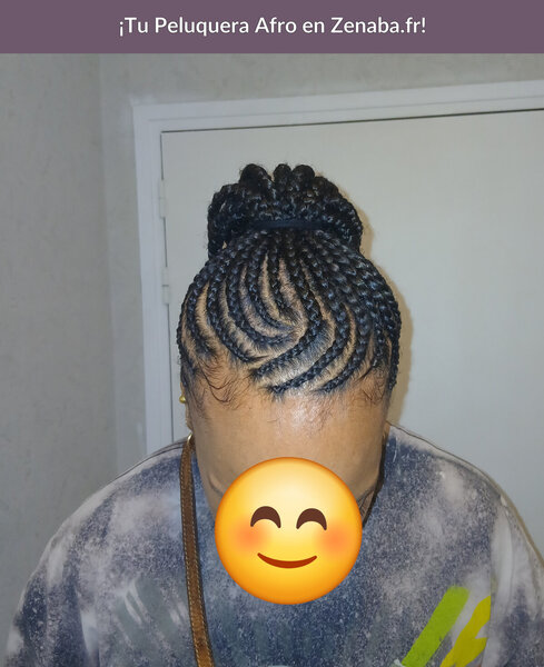 Nattes collées updo Braids
