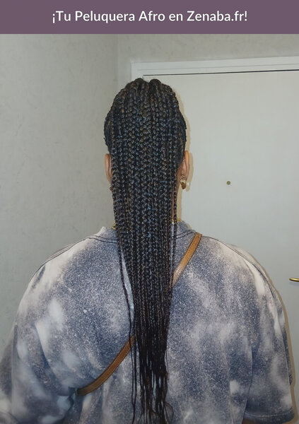 Nattes collées updo Braids