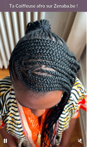 Ponytail braids