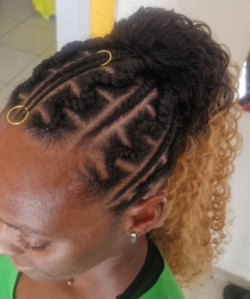Ponytails braids