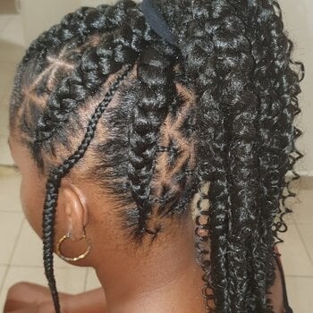 Ponytails braids