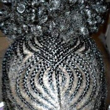 Ponytails braids