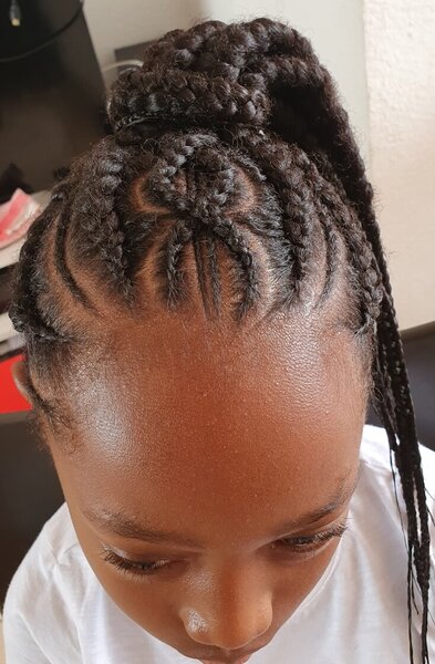 Ponytails braids