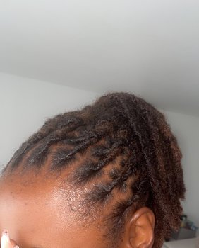 Reprise de racines locks twists et crochet