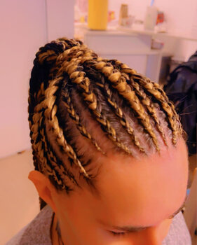 Tresses fines 1b