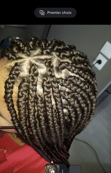 Tressses/braids