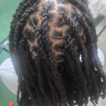 Twist Dread locks