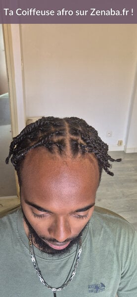 Vanille stylisé