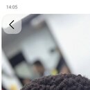 Herbe coiffeur 