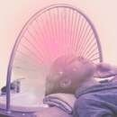 Le Head Spa, c'est quoi exactement ?